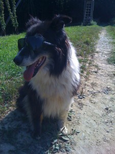 Leo im Hopfen 2009_2